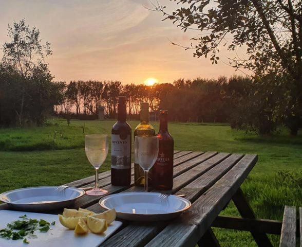 Mill Haven Place Glamping-Yurt 2 Гейверфордвест Екстер'єр фото