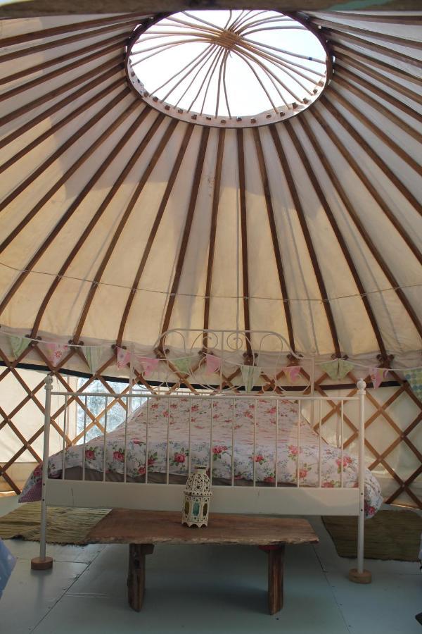 Mill Haven Place Glamping-Yurt 2 Гейверфордвест Екстер'єр фото